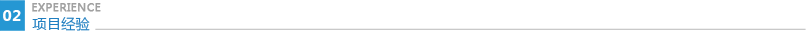 項目經(jīng)驗.png